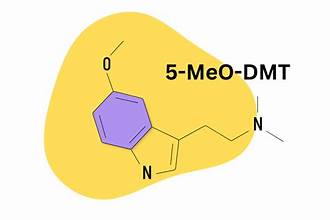Buy 5-MeO-DMT online